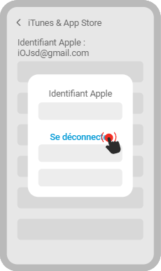Installation de l'application Megapori sur votre iPhone Étape 11