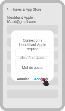 Installation de l'application mega bary sur votre iPhone Étape 12